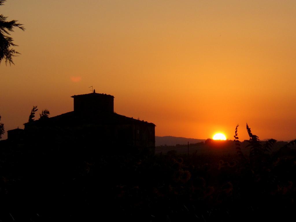 Agrisalotto * Cortona