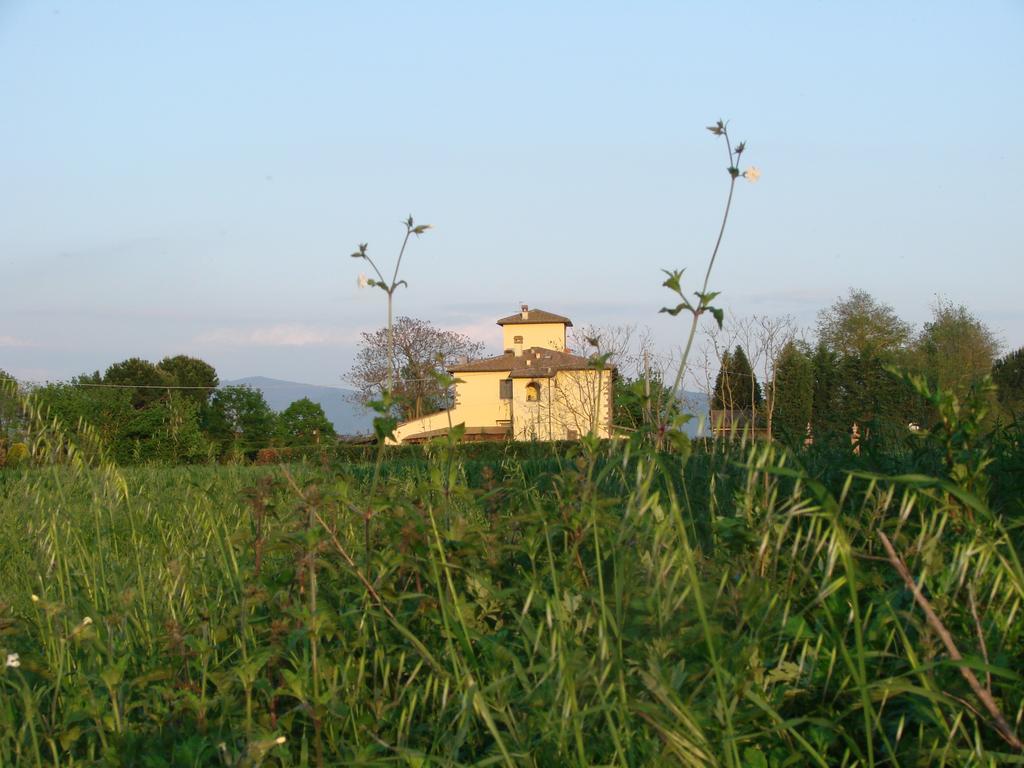 Agrisalotto Bauernhof Cortona